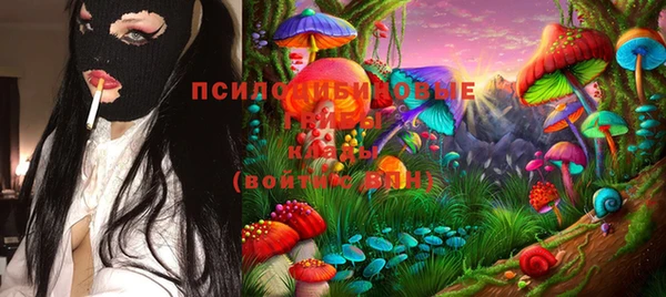 прущие грибы Алексин
