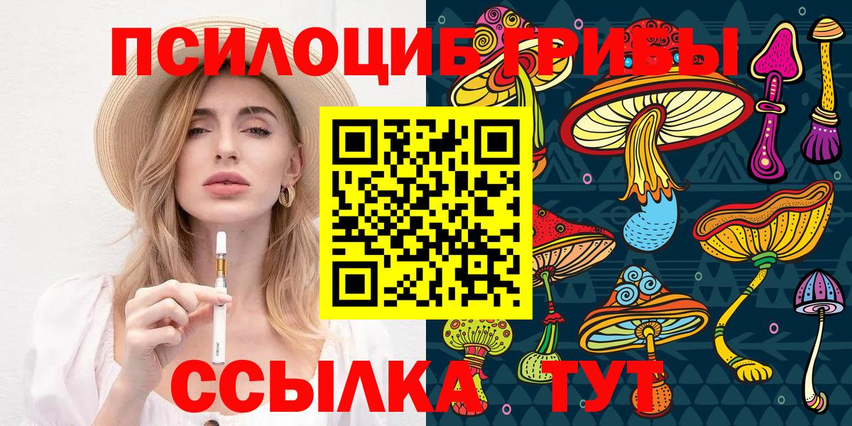 Псилоцибиновые грибы Psilocybine cubensis Сибай
