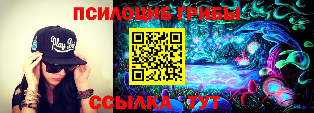Галлюциногенные грибы ЛСД  Галлюциногенные грибы Psilocybe  Вход с VPN  Сибай 